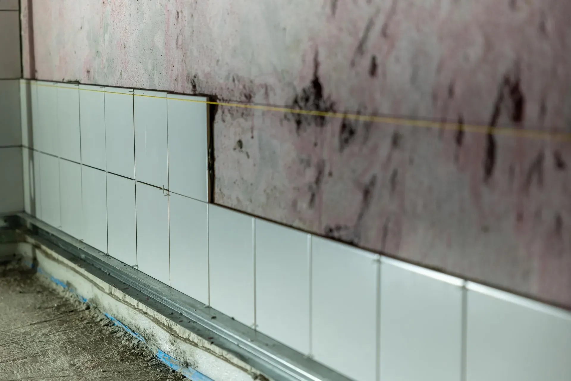 Bathroom wall with dark mold-like staining above white tile.