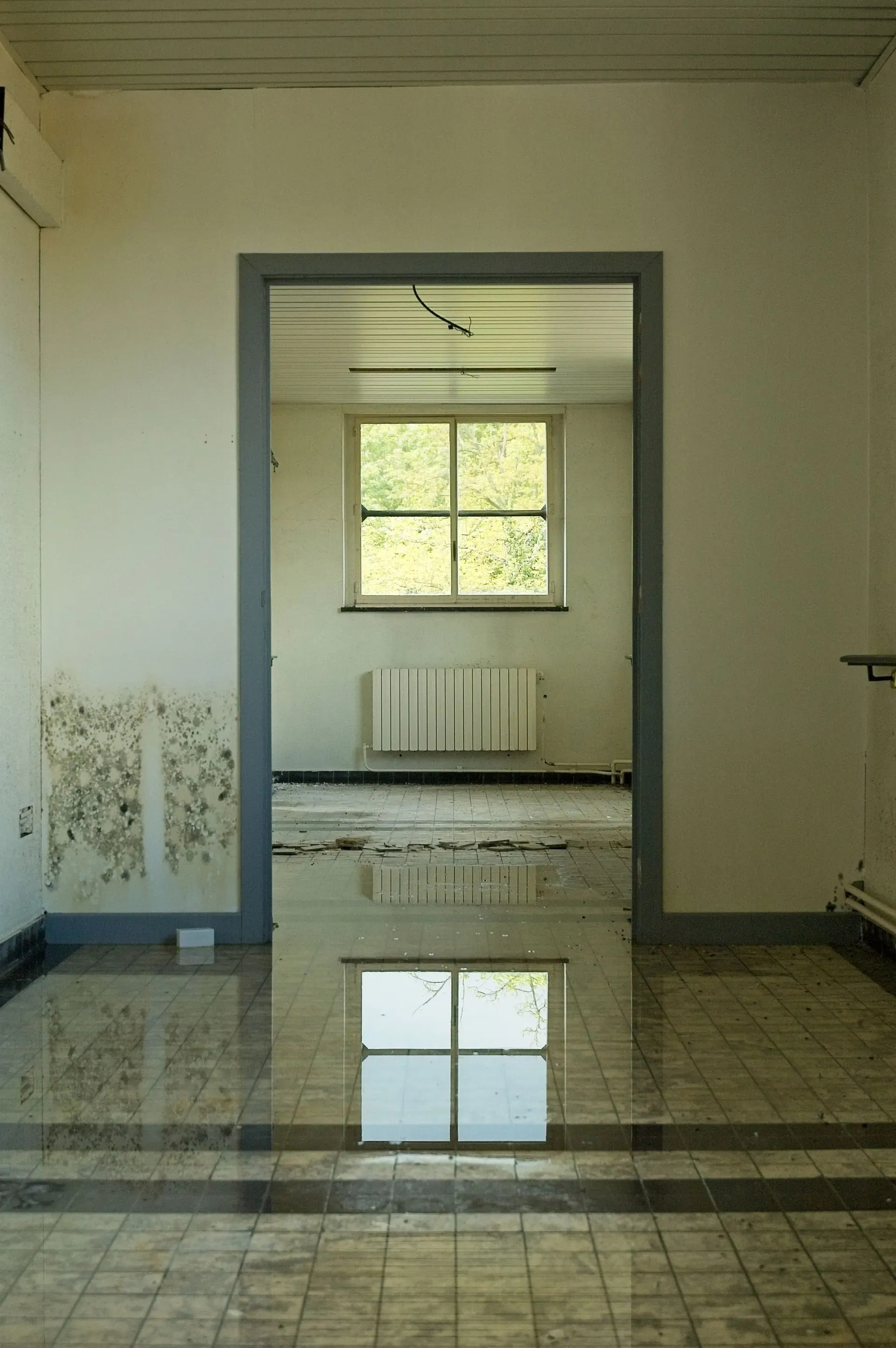 Empty room with moisture-damaged lower walls and a reflective floor.